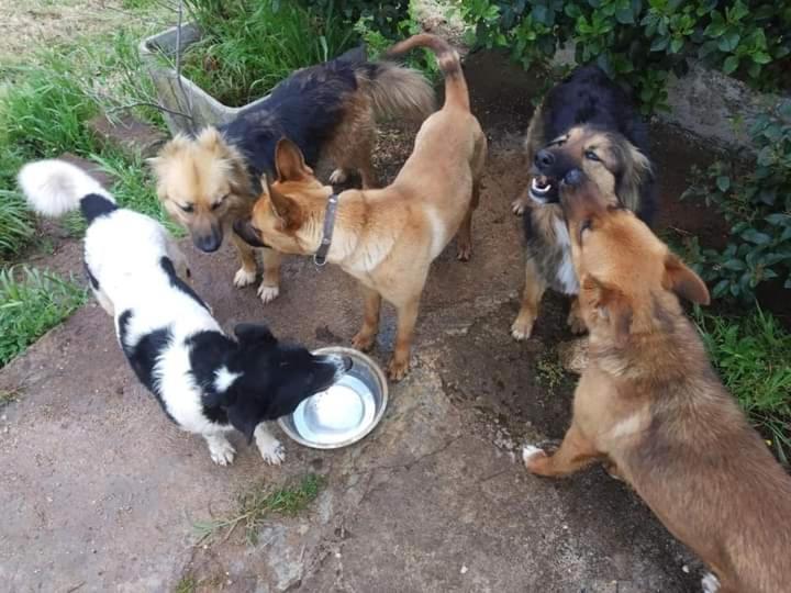 A Casa Di Clio Villa Ceglie Messapica Kültér fotó